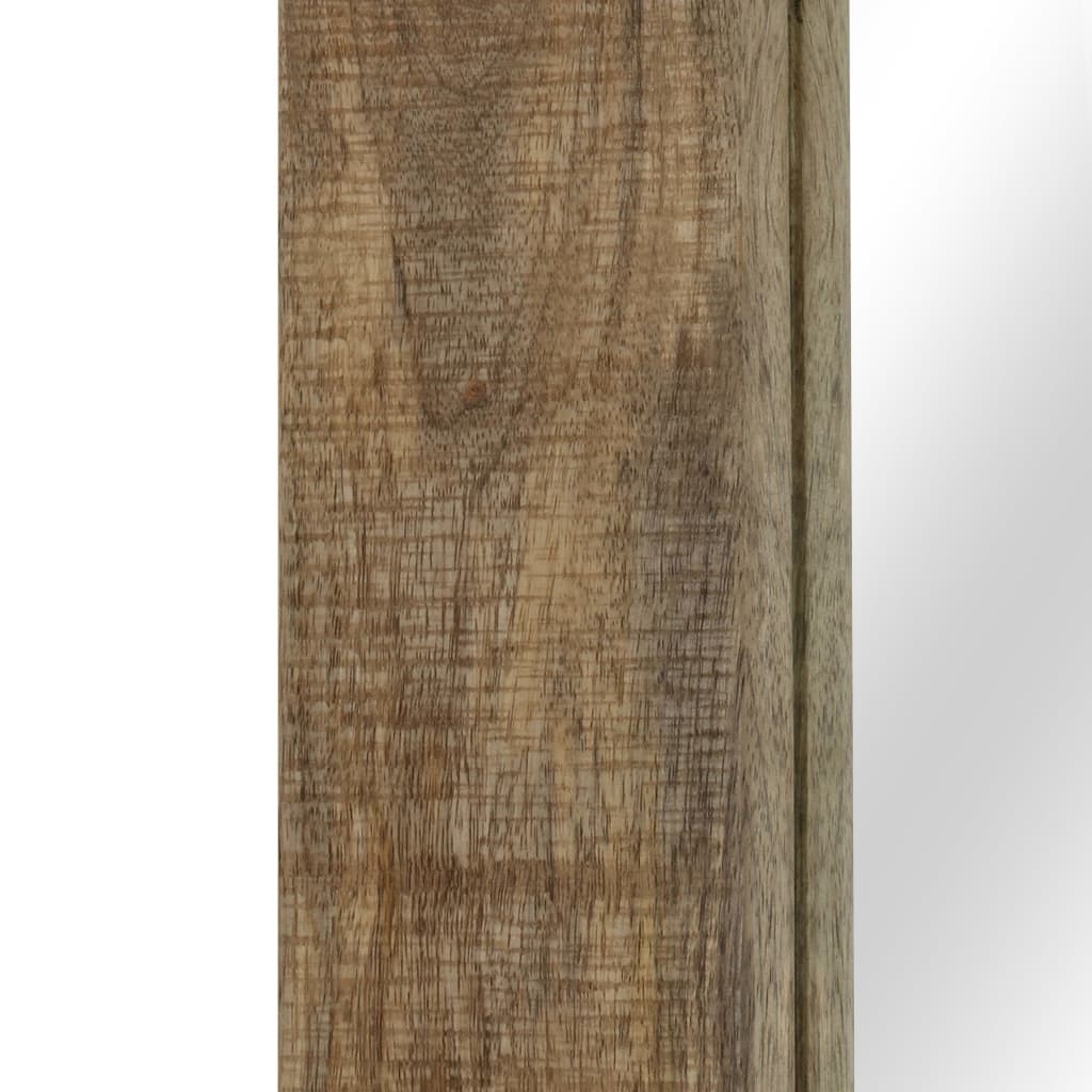Spiegel 50x110 cm massief mangohout